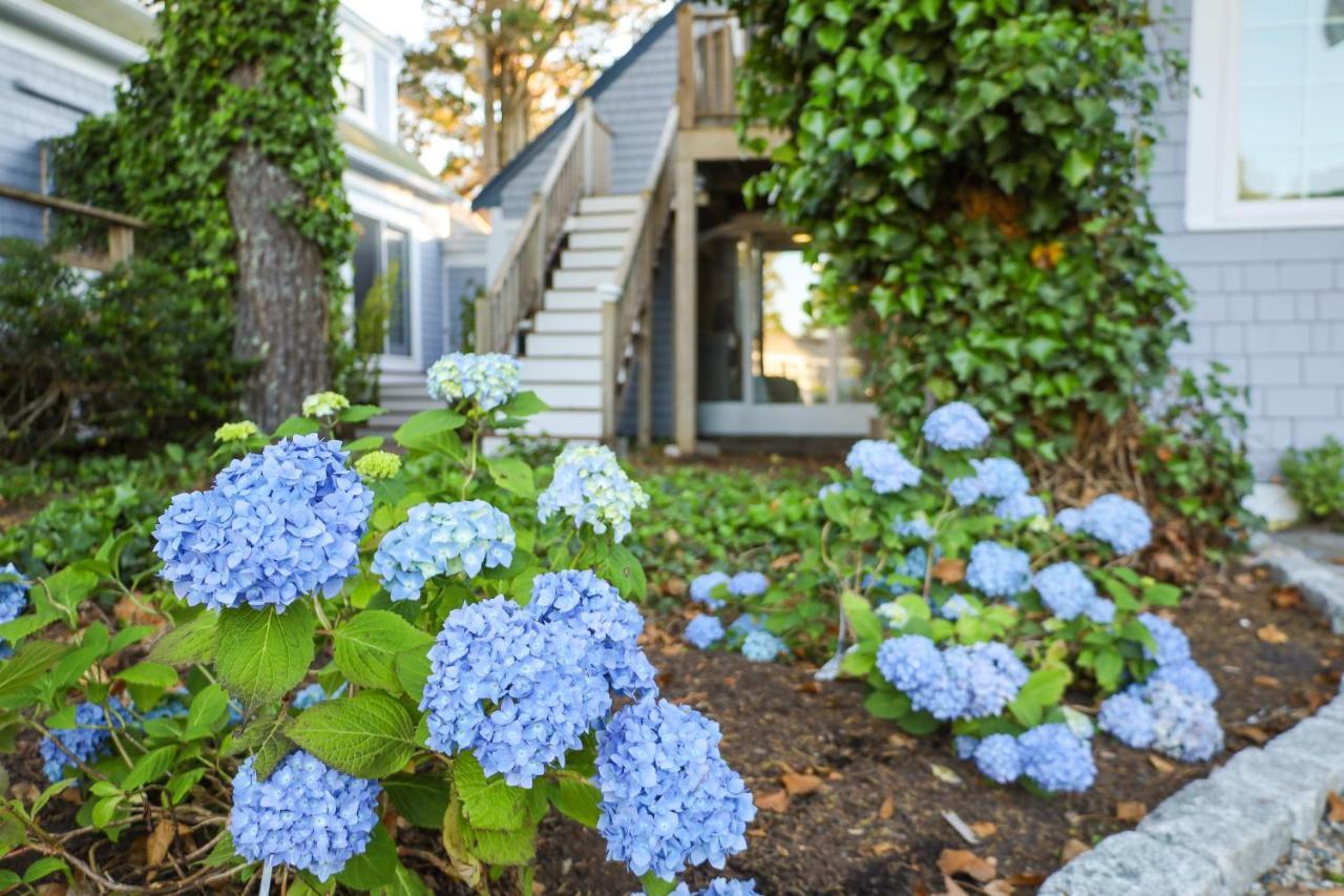 Allen Harbor Rentals Харвич Порт Экстерьер фото